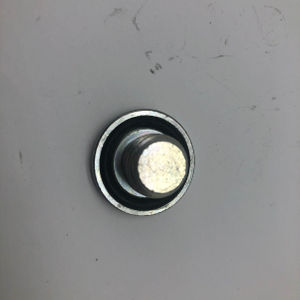 Tornillo Tapón con Goma para Sellado Torx30