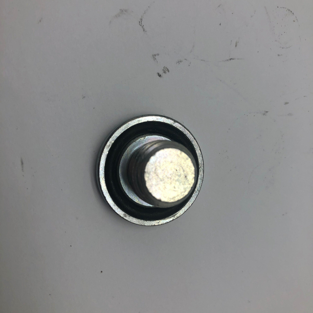 Tornillo Tapón con Goma para Sellado Torx30