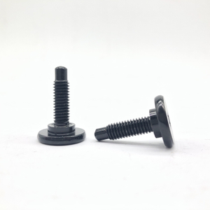 Tornillo Torx Paso Tornillo Tornillo de cabeza alomada para autopartes