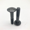 Perno de carro DIN603 M10X55 Cl8.8