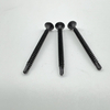 Tornillo de perforación de cabeza de trompeta Phillip Bugle